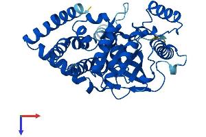 AGPAT5 Protein (AA 1-364) (His tag)