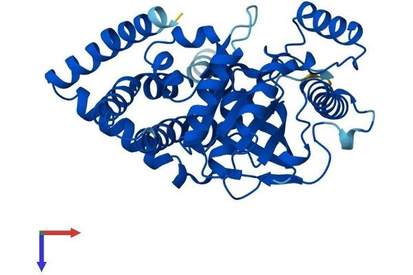 AGPAT5 Protein (AA 1-364) (His tag)