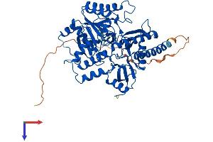 AGXT2L1 Protein (AA 1-499) (His tag)