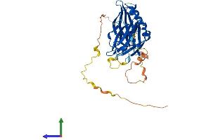 AlphaFold protein structure predicition of Mouse Recombinant Doc2g Protein, UniprotID Q9ESN1