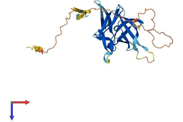 IL-33 Protein (AA 1-266) (His tag)