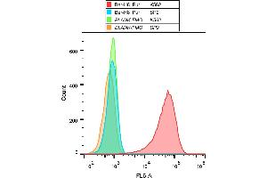 Flow cytometry analysis (surface staining) of K562 cells with anti-human CD30 (Ber-H8) purified, GAM APC. (TNFRSF8 Antikörper)