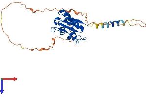 BTG3 Protein (AA 1-252) (His tag)