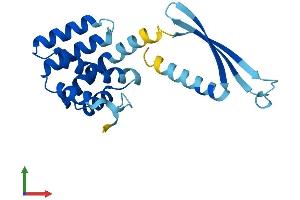 AlphaFold protein structure predicition of Mouse Recombinant Commd7 Protein, UniprotID Q8BG94 (COMMD7 Protein (AA 1-200) (His tag))