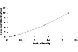 Typical standard curve (CDK8 ELISA Kit)