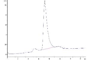 The purity of Bitinylated Human IL-12 is greater than 95 % as determined by SEC-HPLC. (IL12 Protein (AA 23-328) (His-Avi Tag,Biotin))