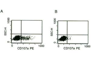 Flow Cytometry (FACS) image for anti-Natural Cytotoxicity Triggering Receptor 1 (NCR1) antibody (ABIN1106284) (NCR1 Antikörper)