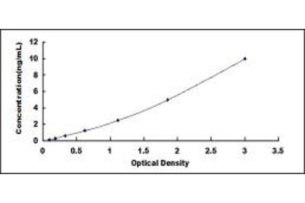 UBR4 ELISA Kit