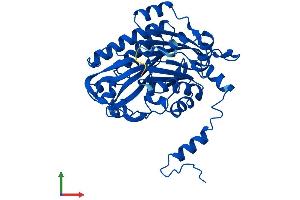 Protein Structure (PS) image for Ureidopropionase, beta (UPB1) (AA 1-384) protein (His tag) (ABIN7552848)