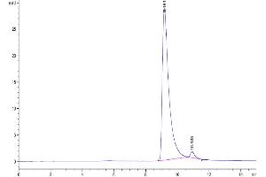The purity of Human GDNF is greater than 95 % as determined by SEC-HPLC. (GDNF Protein (AA 78-211))