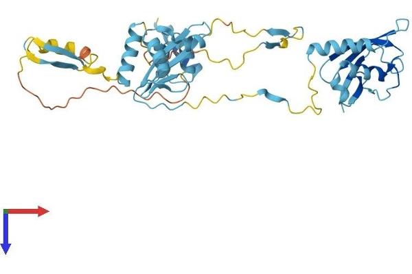 NSFL1C Protein (AA 1-370) (His tag)