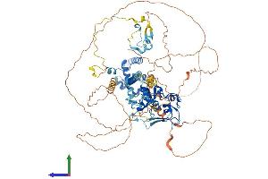 Protein Structure (PS) image for PHD Finger Protein 17 (PHF17) (AA 1-834) protein (His tag) (ABIN7564157)