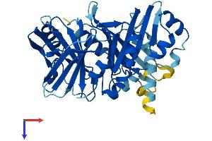 HPDL Protein (AA 1-371) (His tag)