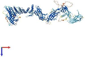 TRAPPC9 Protein (AA 1-1148) (His tag)