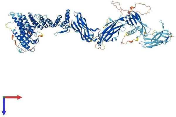 TRAPPC9 Protein (AA 1-1148) (His tag)