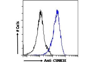 Flow Cytometry (FACS) image for anti-Casein Kinase 1, epsilon (CSNK1E) (C-Term) antibody (ABIN238540)