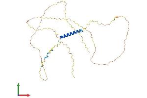 Protein Structure (PS) image for Junctional Sarcoplasmic Reticulum Protein 1 (JSRP1) (AA 1-332) protein (His tag) (ABIN7557041)