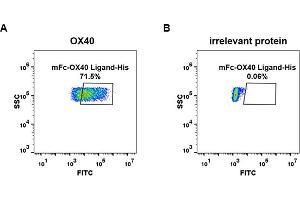 Flow Cytometry (FACS) image for Tumor Necrosis Factor (Ligand) Superfamily, Member 4 (TNFSF4) protein (mFc-His Tag) (ABIN6961094)