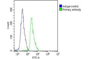 Overlay histogram showing Jurkat cells stained with (ABIN389186 and ABIN2839349) (green line). (Cadherin 5 Antikörper  (N-Term))