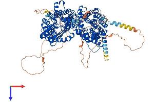 AlphaFold protein structure predicition of Human Recombinant SLC14A2 Protein, UniprotID Q15849 (Solute Carrier Family 14 (Urea Transporter, Kidney) Member 2 (SLC14A2) (AA 1-920) protein (His tag))