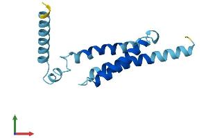 Protein Structure (PS) image for Brain Protein 44 (BRP44) (AA 1-127) protein (His tag) (ABIN7560811)