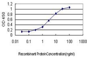 Detection limit for recombinant GST tagged GMPS is approximately 0. (GMP Synthase Antikörper  (AA 108-215))
