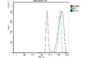 Flow Cytometry analysis of U251 cells using anti-DBL antibody (ABIN7601702).