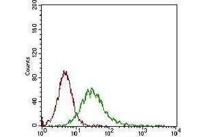 Flow cytometric analysis of Jurkat cells using CD68 mouse mAb (green) and negative control (red). (CD68 Antikörper  (AA 42-155))