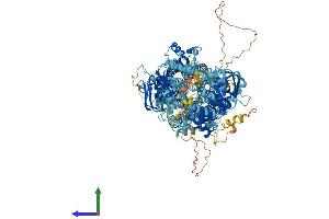 AlphaFold protein structure predicition of Mouse Recombinant Abcc12 Protein, UniprotID Q80WJ6