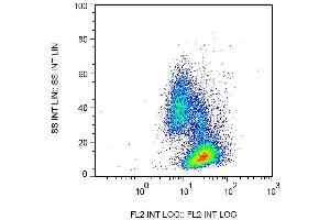 Surface staining of human peripheral blood cells by mouse monoclonal anti-beta2-microglobulin antibody B2M-02 biotin. (beta-2 Microglobulin Antikörper  (Biotin))