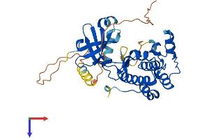 Aurora Kinase B Protein (AURKB) (AA 1-345) (His tag)