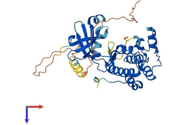 Aurora Kinase B Protein (AURKB) (AA 1-345) (His tag)