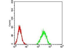 Flow cytometric analysis of Hela cells using ZFP91 mouse mAb (green) and negative control (red). (ZFP91 Antikörper  (AA 162-304))