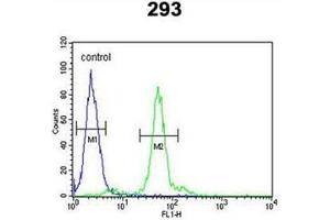 Flow Cytometry (FACS) image for anti-Lysyl Oxidase (LOX) (AA 240-269), (Middle Region) antibody (ABIN953265)