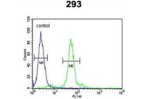 Flow cytometric analysis of 293 cells using  Lysyl oxidase Antibody (Center) Cat.
