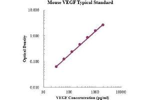 ELISA image for Vascular Endothelial Growth Factor (VEGF) ELISA Kit (ABIN3198491)