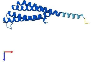 LTC4S Protein (AA 1-150) (His tag)