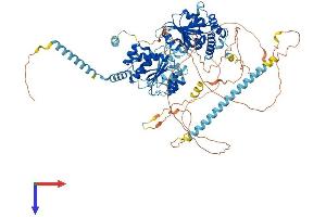 DDX10 Protein (AA 1-875) (His tag)