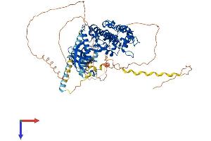 SRPK2 Protein (AA 1-688) (His tag)