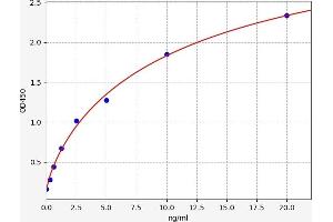 Iduronate 2-Sulfatase (IDS) ELISA Kit