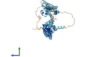 AlphaFold protein structure predicition of Mouse Recombinant Kcnc1 Protein, UniprotID P15388 (KCNC1 Protein (AA 1-511) (His tag))