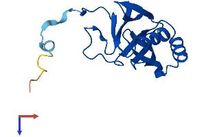 GLOD5 Protein (AA 1-148) (His tag)