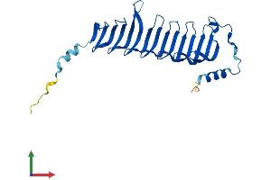 Protein Structure (PS) image for MORN Repeat Containing 3 (MORN3) (AA 1-241) protein (His tag) (ABIN7559155)
