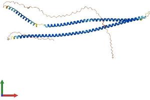 AlphaFold protein structure predicition of Human Recombinant KRT37 Protein, UniprotID O76014