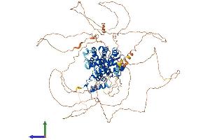 Protein Structure (PS) image for Progesterone Receptor (PGR) (AA 1-933) protein (His tag) (ABIN7555035)