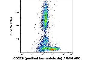 Flow cytometry surface staining pattern of human peripheral blood stained using anti-human CD229 (HLy9. (LY9 Antikörper)