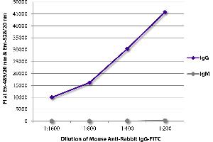 FLISA plate was coated with purified rabbit IgG and IgM. (Maus anti-Kaninchen IgG (Fc Region) Antikörper (FITC))