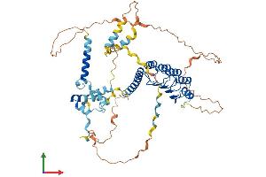 Protein Structure (PS) image for Leiomodin 2 (LMOD2) (AA 1-547) protein (His tag) (ABIN7549076)