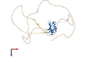 RBMY1A1 Protein (AA 1-380) (His tag)