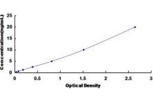 Typical standard curve (BCMA ELISA Kit)